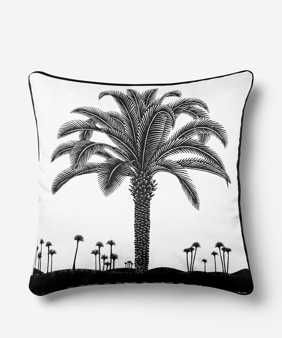COUSSIN LE PALMIER