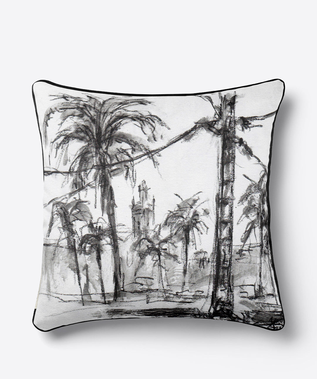 COUSSIN RUE DES PALMIERS